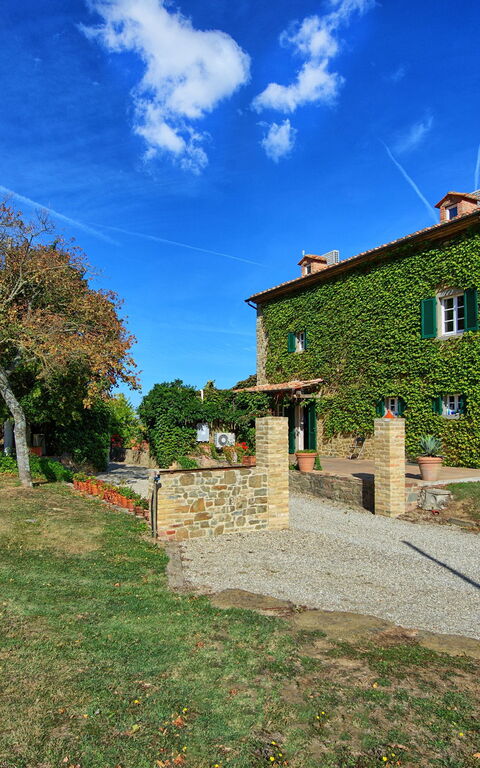 Villa Edo: Have, Udendørs, Udvendige