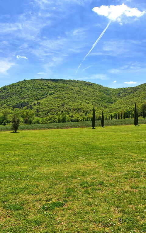 Villa Edo: Have, Udendørs