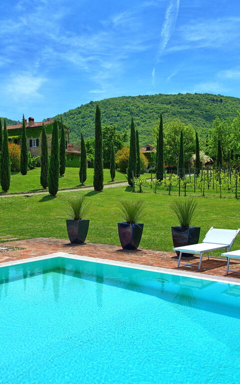 Villa Edo: Have, pool, Udendørs