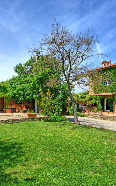 Villa Edo: Have, Udendørs