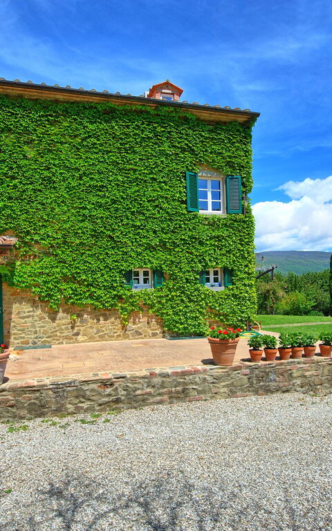 Villa Edo: Have, Udendørs