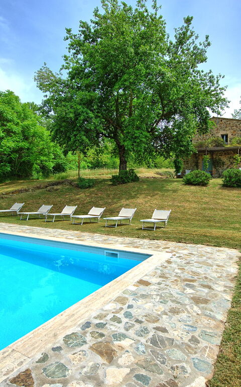 Villa Gualchiere: Have, pool, Udendørs