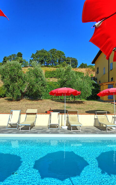 Casalta: Have, pool, Udendørs, Udvendige