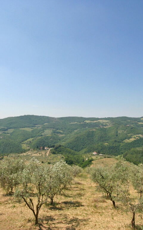 Casalta: Have, Udendørs