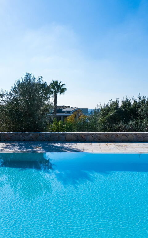 Villa Modigliani: pool