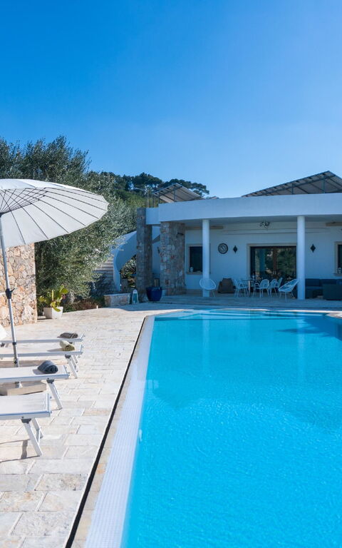 Villa Modigliani: pool