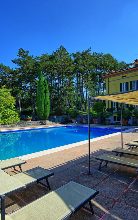 Villa Cuculo: Have, pool, Udvendige