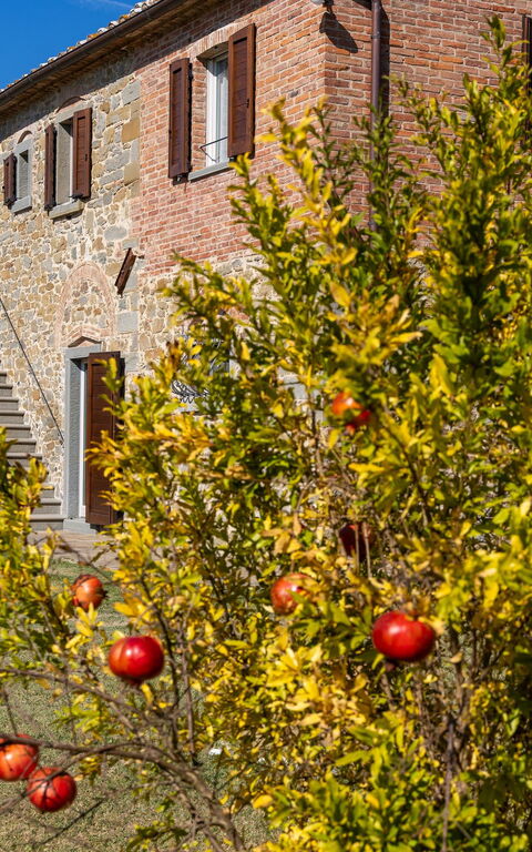 Villa Dei Vini: Have, Udendørs, Udvendige