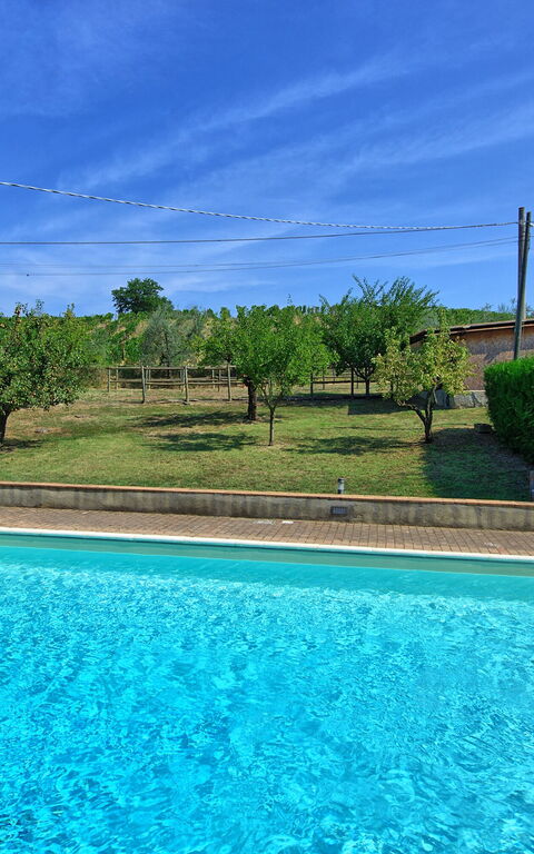 Villa Panizzi: pool