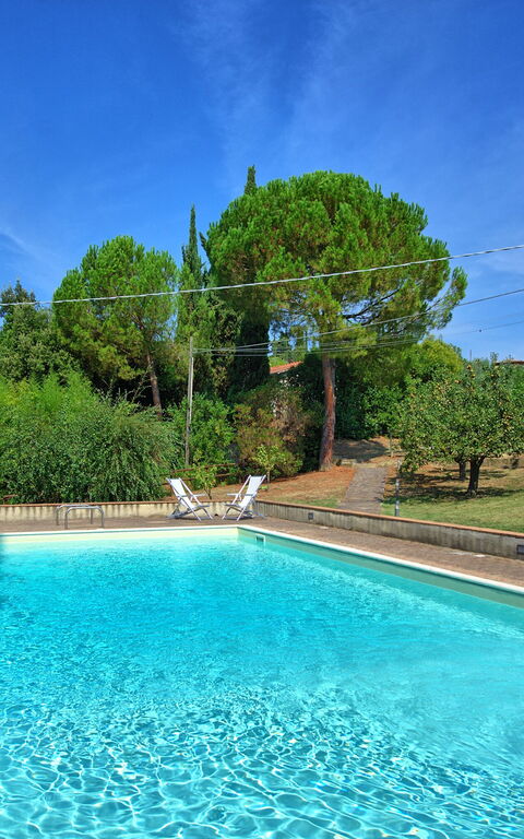 Villa Panizzi: pool