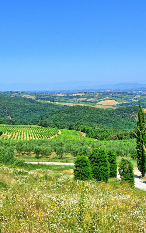 Villa Il Caggio: Sommer, Udendørs, Visninger