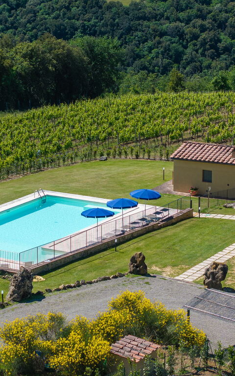 Villa Il Caggio: Have, pool, Udendørs, Udvendige, Visninger