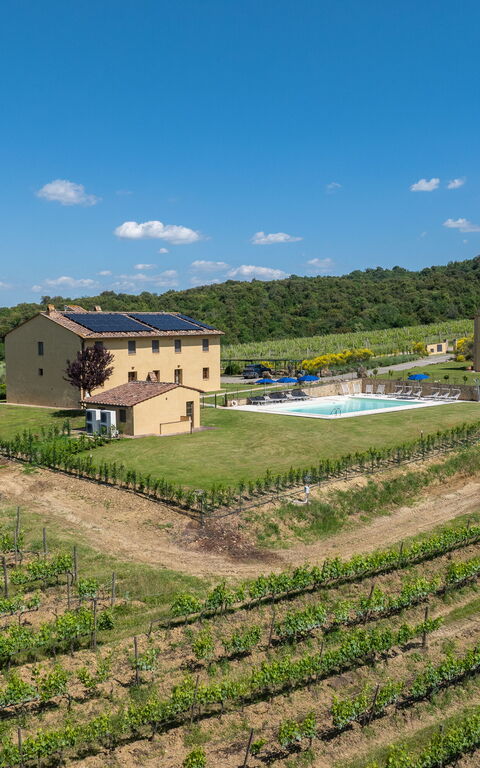 Villa Il Caggio: pool, Visninger