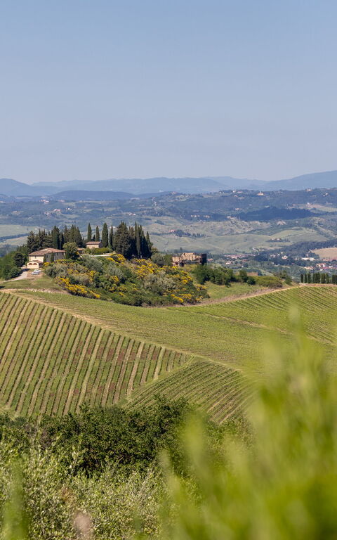 Villa Il Caggio: Visninger