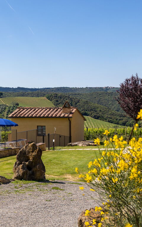 Villa Il Caggio: Have, pool, Udendørs, Udvendige