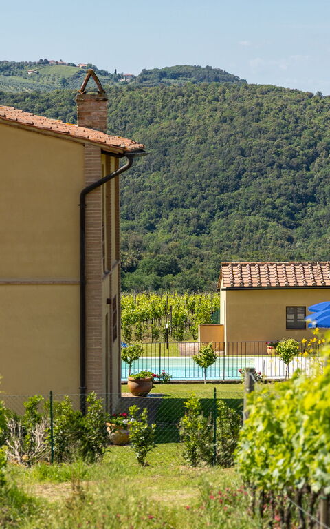 Villa Il Caggio: Have, pool, Udendørs, Udvendige