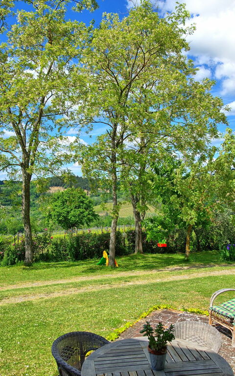 Maggiano: Have, Visninger