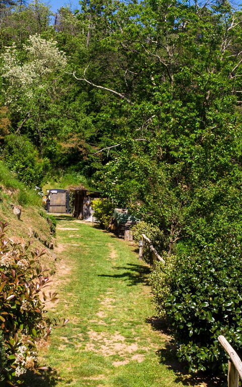 Casale Di Cozzile: Udendørs