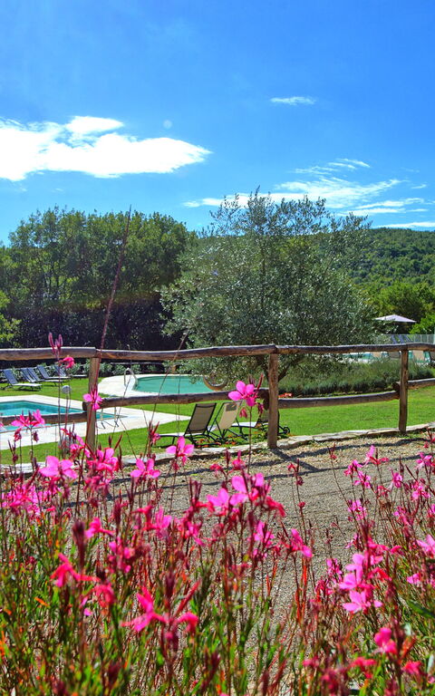 Borgo Mulignone: Have, pool