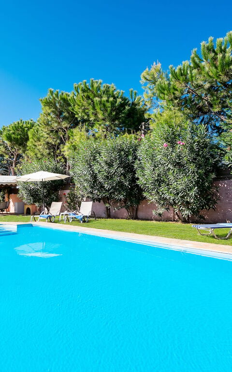 Beachfront Villa Rania: pool