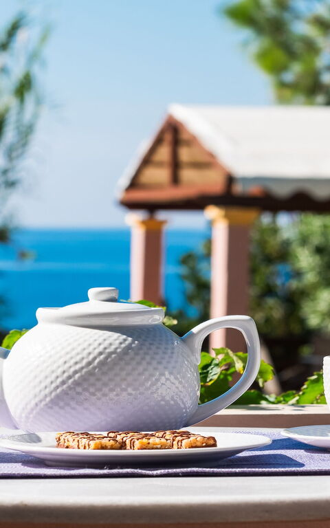 Beachfront Villa Rania: Udendørs