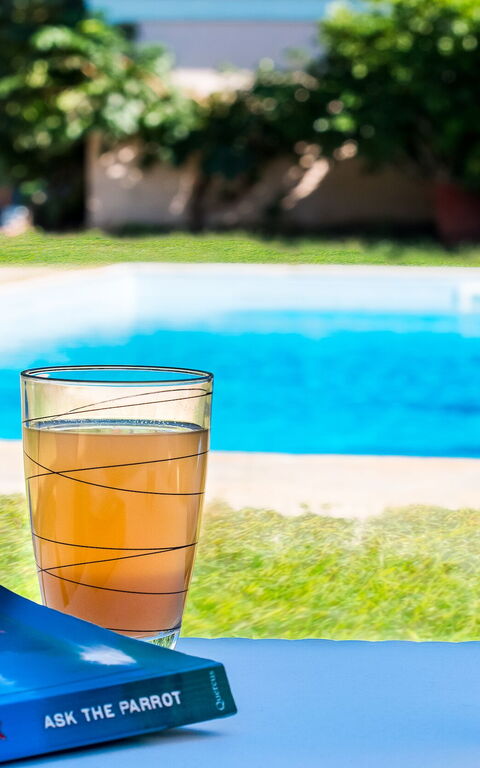 Beachfront Villa Rania: Have, pool