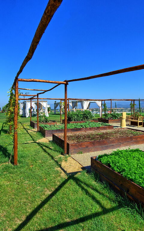 Il Sole Di Vino: Aktiviteter, Have