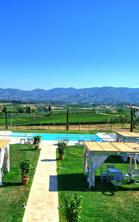 Il Sole Di Vino: Visninger