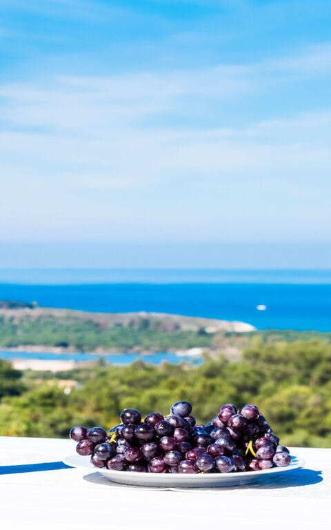 Villa Arete: Have, Visninger