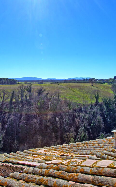 Palazzo Del Capitano: Visninger