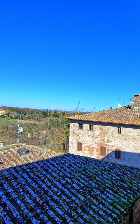 Palazzo Del Capitano: Visninger