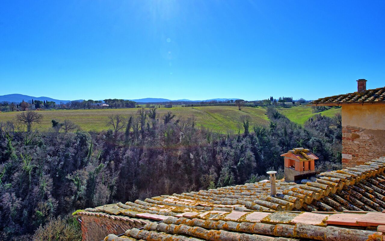 Palazzo Del Capitano: Visninger