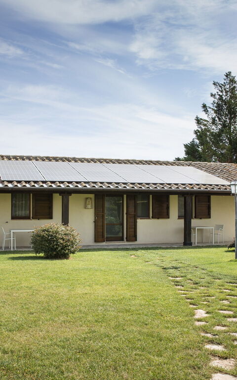 Villa Apollinare: Have, Udendørs