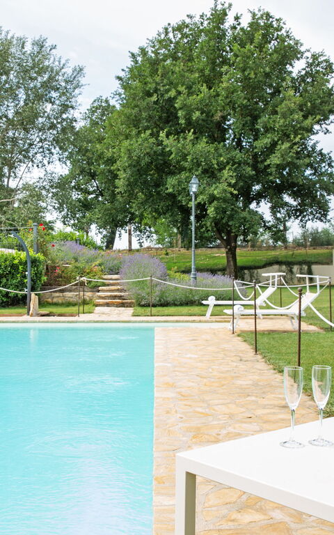 Villa Apollinare: pool