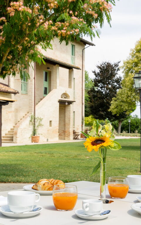 Villa Apollinare: Have