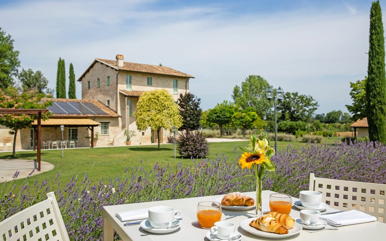 Villa Apollinare: Have, Udendørs