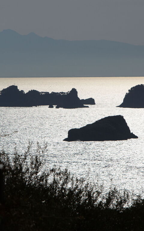 Villa Marianna: Visninger