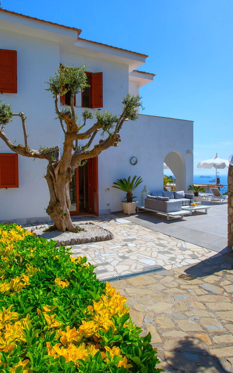 Villa Marianna: Udendørs, Udvendige, Visninger