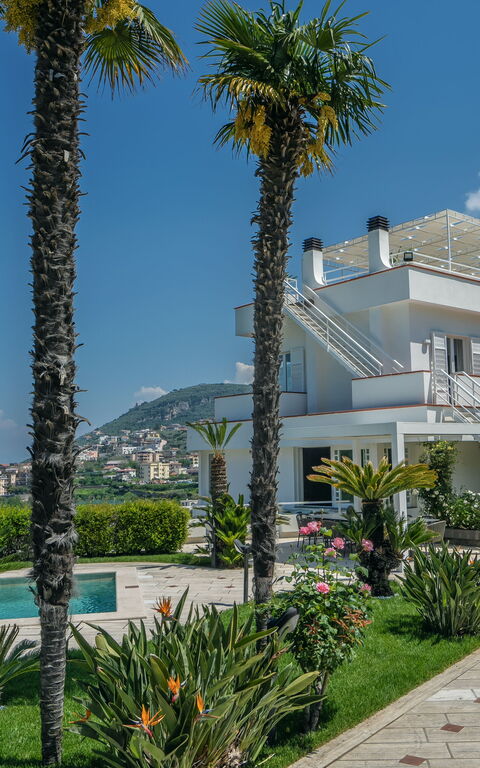 Villa Antonietta: pool, Udendørs, Udvendige