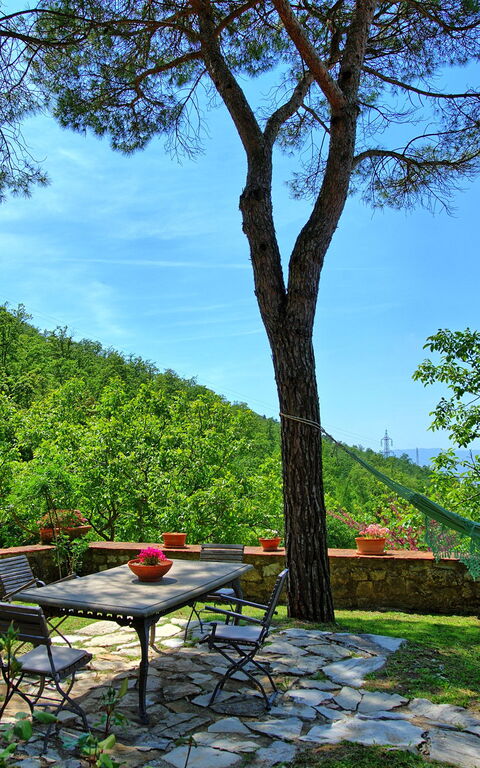 Villa Ancora: Udendørs