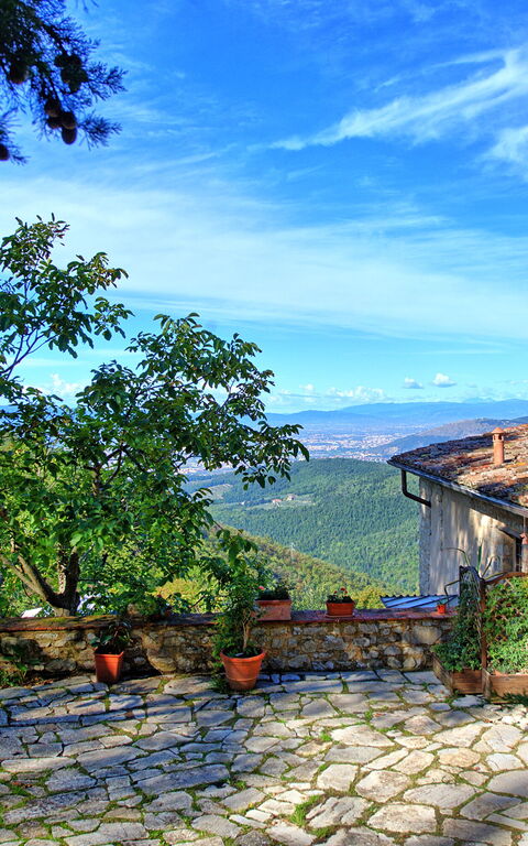 Villa Ancora: Have, Udendørs