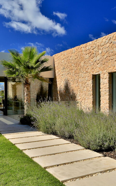 Cala Conta Dream: Have