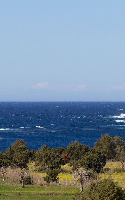 Cala Conta Dream: Have, Udendørs, Visninger