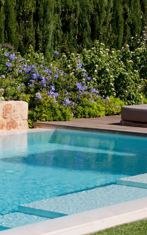 Cala Conta Dream: pool