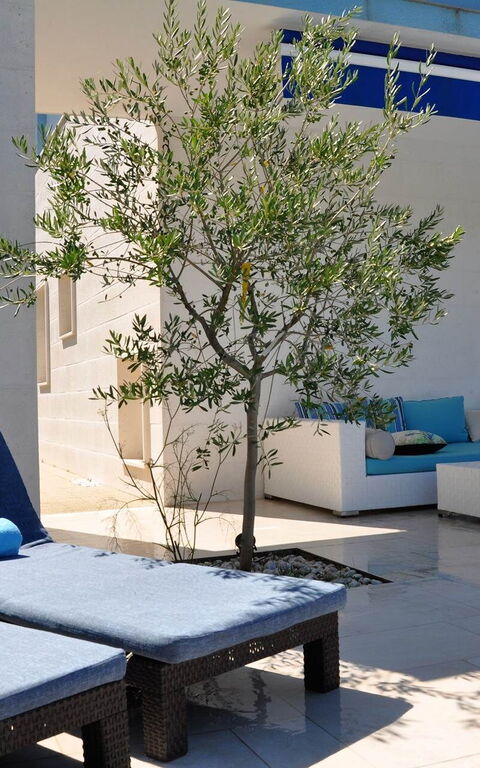 Villa Mermaid: Altan / terrasse / gårdhave, Udendørs, Udvendige