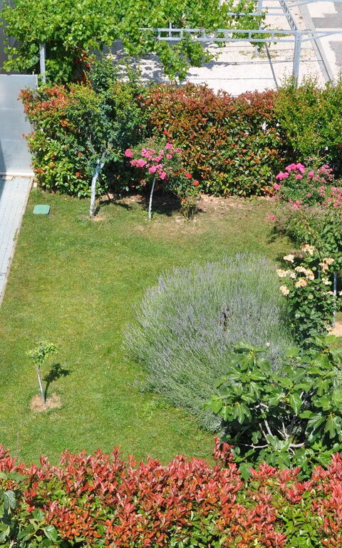 Villa Mermaid: Have, Udendørs, Udvendige