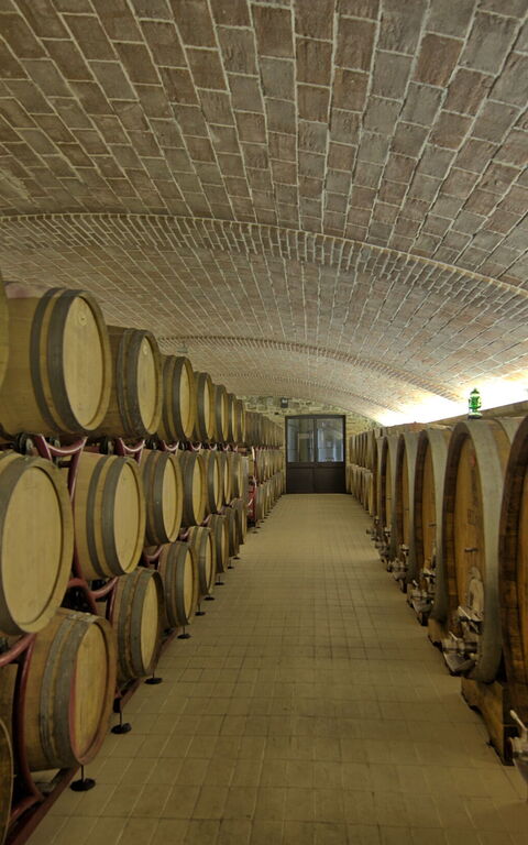 Villa Le Buche: Aktiviteter, Faciliteter