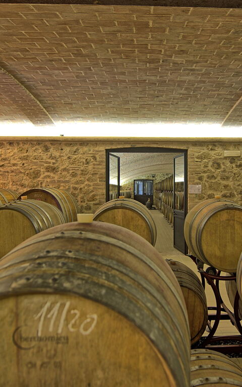 Villa Le Buche: Aktiviteter, Faciliteter