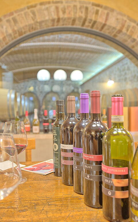 Villa Le Buche: Aktiviteter, Faciliteter