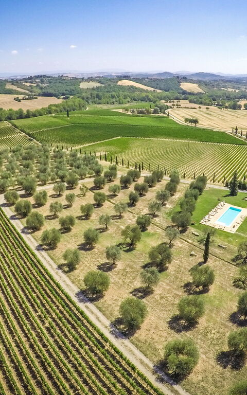 Villa Le Buche: Sommer, Visninger